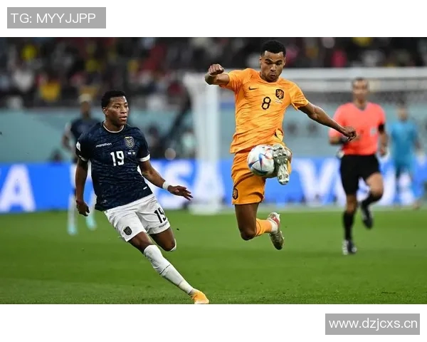 突尼斯球员是否出现在英超赛场 北非力量登陆英伦 突尼斯球员是否出现在英超赛场 北非力量登陆英伦